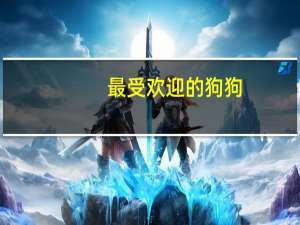 最受欢迎的狗狗