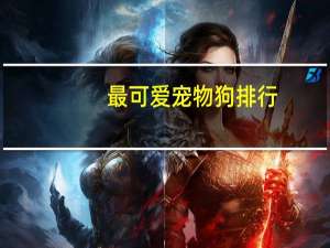 最可爱宠物狗排行