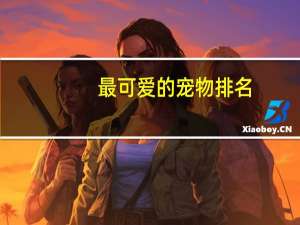 最可爱的宠物排名