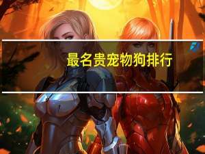 最名贵宠物狗排行