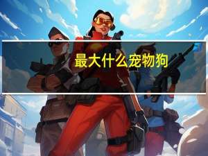 最大什么宠物狗