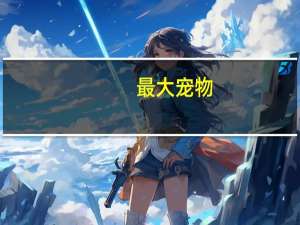 最大宠物