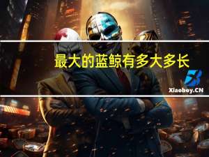 最大的蓝鲸有多大多长