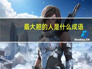 最大胆的人是什么成语