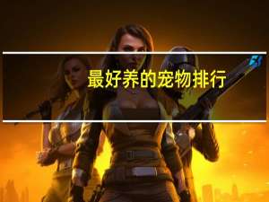 最好养的宠物排行