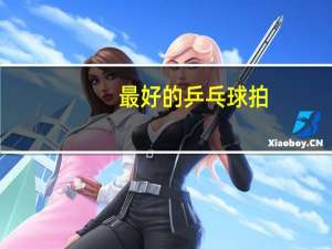 最好的乒乓球拍