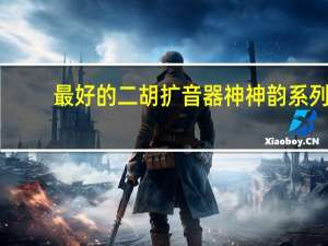 最好的二胡扩音器神神韵系列（最好的二胡）