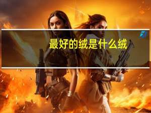 最好的绒是什么绒