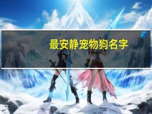 最安静宠物狗名字