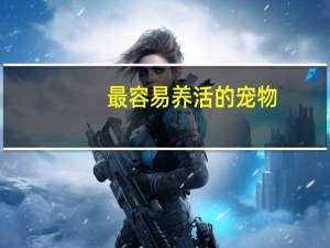 最容易养活的宠物