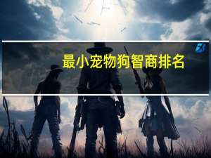 最小宠物狗智商排名