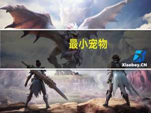 最小宠物