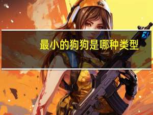 最小的狗狗是哪种类型