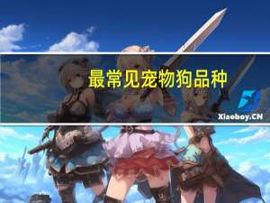最常见宠物狗品种