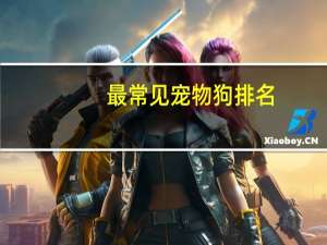 最常见宠物狗排名