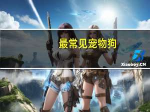 最常见宠物狗