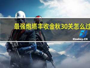 最强炮塔丰收金秋30关怎么过