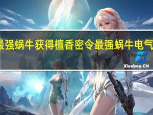 最强蜗牛获得檀香密令 最强蜗牛电气锤密令