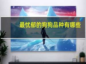 最忧郁的狗狗品种有哪些