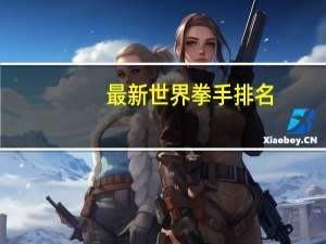 最新世界拳手排名
