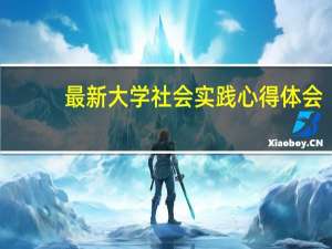 最新大学社会实践心得体会