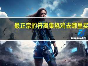 最正宗的符离集烧鸡去哪里买