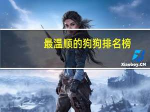 最温顺的狗狗排名榜