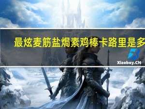 最炫麦筋 盐焗素鸡棒卡路里是多少