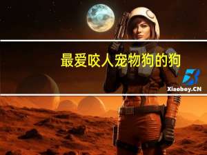 最爱咬人宠物狗的狗