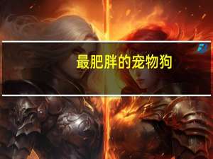 最肥胖的宠物狗