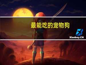 最能吃的宠物狗