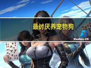 最讨厌养宠物狗