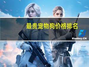 最贵宠物狗价格排名