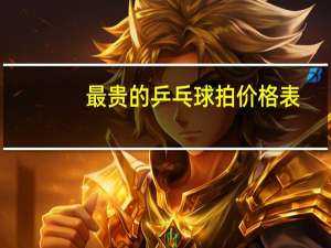 最贵的乒乓球拍价格表