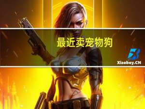 最近卖宠物狗