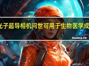最高分辨率单光子超导相机问世 可用于生物医学成像及天文观测等领域