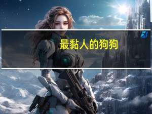 最黏人的狗狗