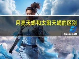 月亮天蝎和太阳天蝎的区别
