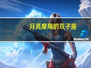 月亮摩羯的双子座