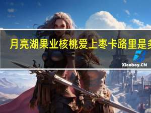 月亮湖果业 核桃爱上枣卡路里是多少