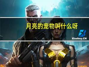 月亮的宠物叫什么呀