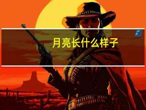 月亮长什么样子