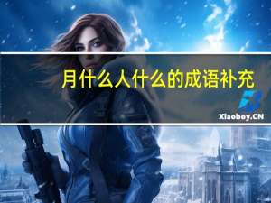 月什么人什么的成语补充（月什么人什么的成语）