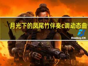 月光下的凤尾竹伴奏c调动态曲谱（月光下的凤尾竹伴奏）