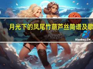 月光下的凤尾竹葫芦丝简谱及歌词（月光下的凤尾竹葫芦丝曲谱歌词）