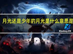 月光还是少年的月光是什么意思是什么