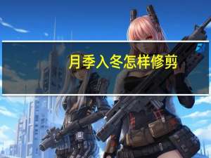 月季入冬怎样修剪