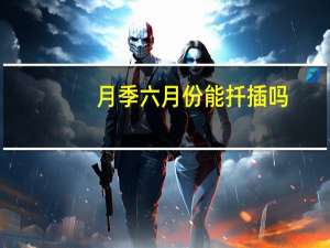 月季六月份能扦插吗