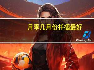 月季几月份扦插最好