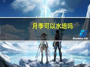 月季可以水培吗